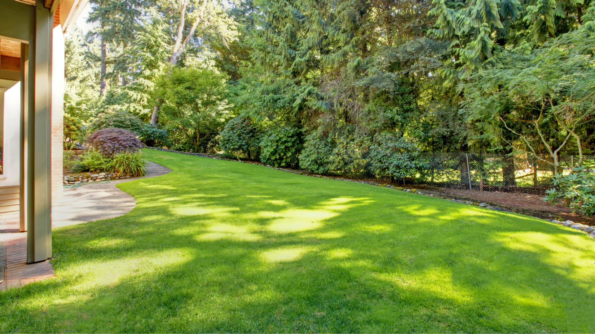 Podlewanie trawnika latem - kiedy i jak to robić?