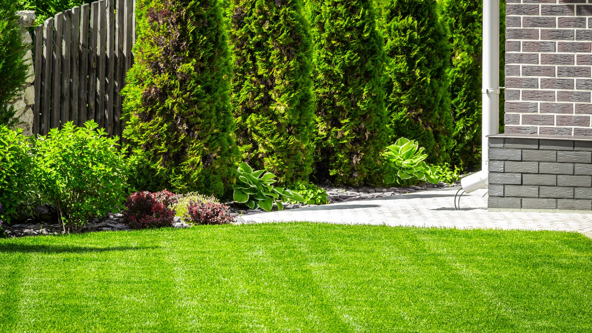 Jak jeszcze można dbać o trawnik?