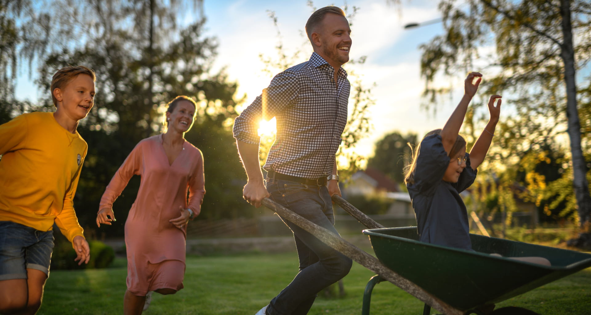 Jak mieć gęsty i zadbany trawnik